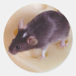 Pegatina suizo de ratón de queso