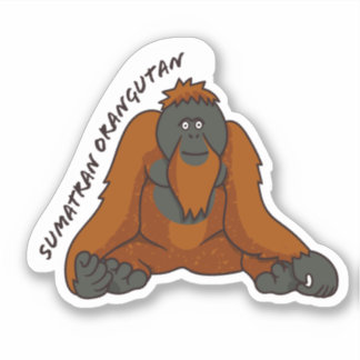 pegatina "Sumatra Orangutan"