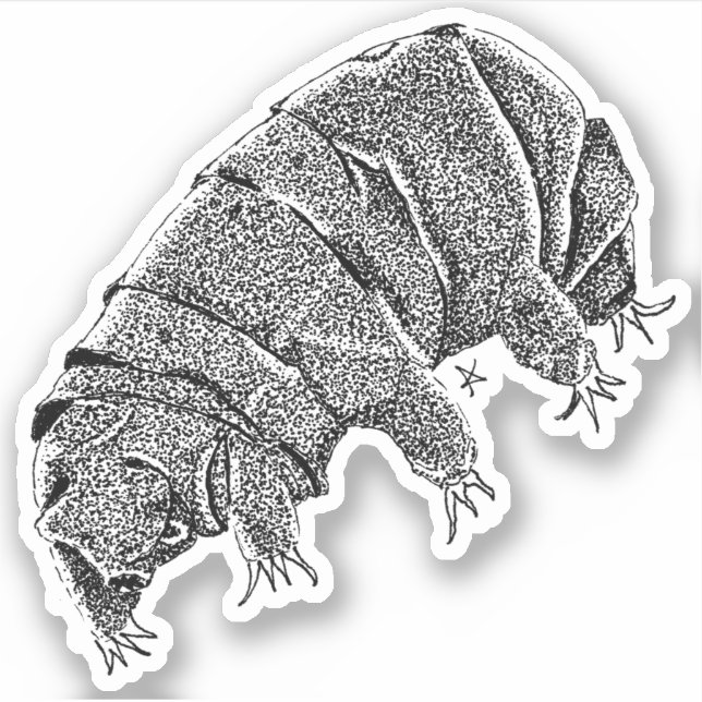Pegatina Tardigrado (Anverso)