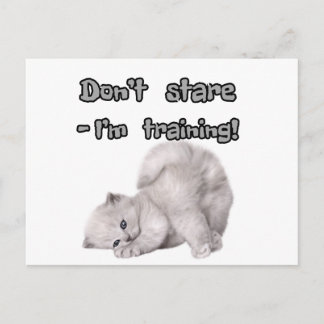 Pegatina / Tarjeta Postal de Gato Divertido