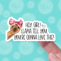 Te va a encantar este divertido bollo de Llama
