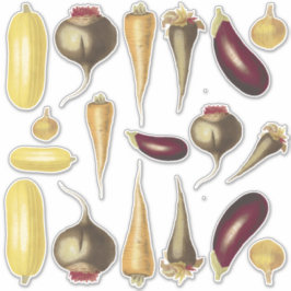 Pegatina Tema de la comida de las hortalizas de época color