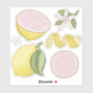 Pegatina Tema del limón rosado de Lemonade