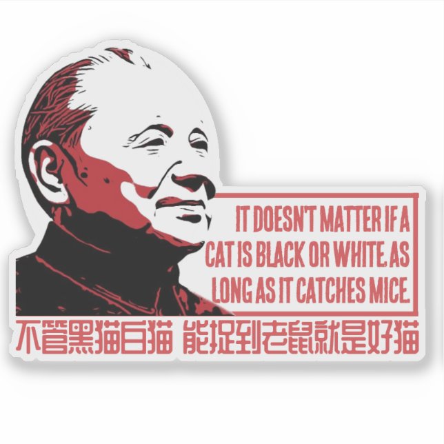 PEGATINA TEORÍA CAT (Anverso)