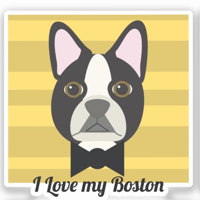 Pegatina Terrier de Boston (Anverso)