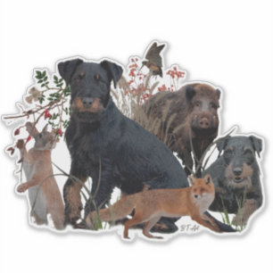 Pegatina Terrier de caza alemán (Jagdterrier) 