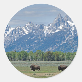Pegatina Teton Buffalo