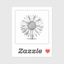 The Moment Co. Apoya