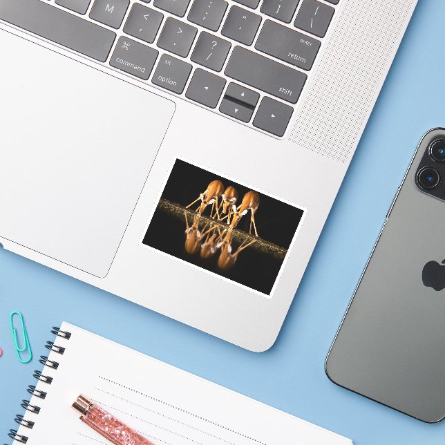 Pegatina Three Impala Drink Together at Night (Ordenado portátil con iPhone)