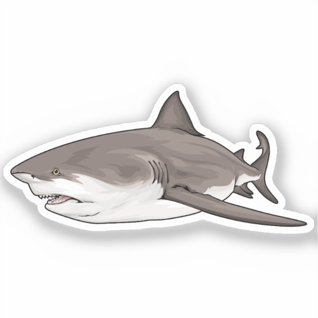 Pegatina Tiburón toro A (Anverso)