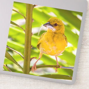 Pegatina Tiempo de construir el nido