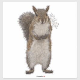 Pegatina ¿Tienes nueces?