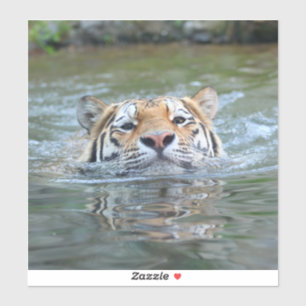 Pegatina Tigre 028