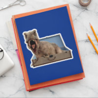 Tirannosauro de Dinosaurio en un equipaje maleta