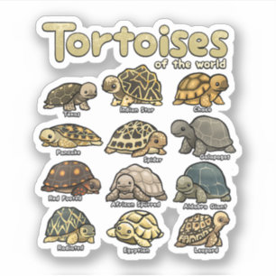 Pegatina Tortuga Animales del Mundo Reptil Lindo Tortuga