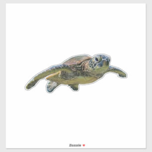 Pegatina Tortuga Copia Copia Copia Copia Copia Copia Copia