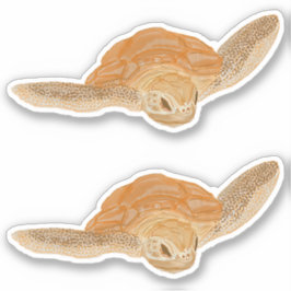 Pegatina Tortuga marina en el agua - transparente.