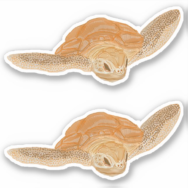 Pegatina Tortuga marina en el agua - transparente. (Anverso)