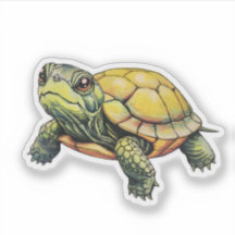 Tortuga natural