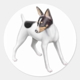 Pegatina Toy Fox Terrier