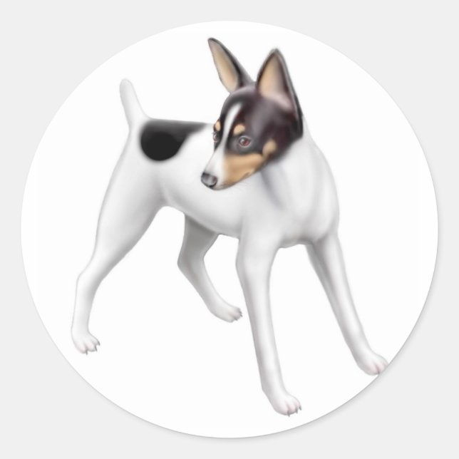 Pegatina Toy Fox Terrier (Anverso)