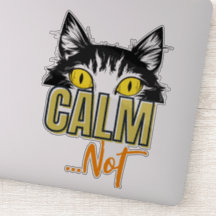 Tranquilidad... no. Los muchos estados de ánimo de