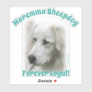 Pegatina transparente de Maremma Forever Loyal