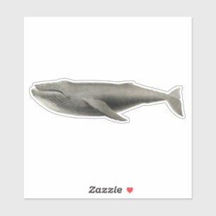 Pegatina TRANSPARENTE DE VINTAGE WHALE