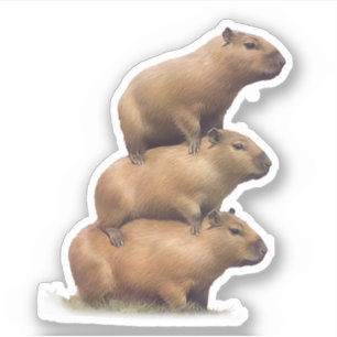 Pegatina Tres Capybaras Graciosos Capybara Humor Stack Anim