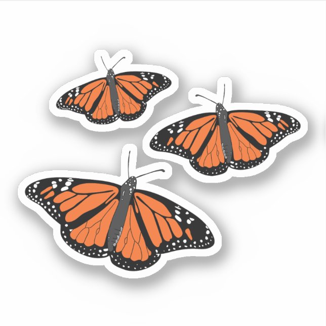 Pegatina Tres mariposa monarca (Anverso)