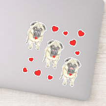 Tres perros pug