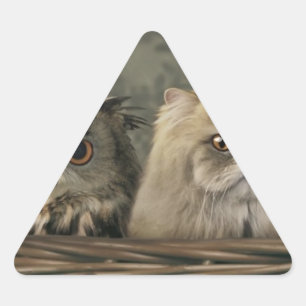 Pegatina Triangular 3 gatos y una lechuza en una canasta