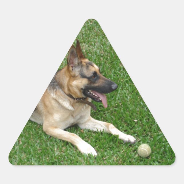 Pegatina Triangular 3 pastores germanos.png (Anverso)