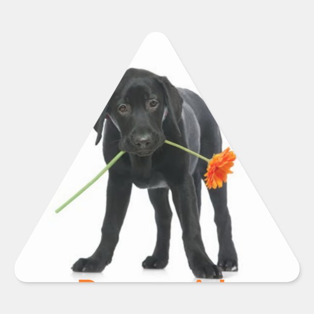 Pegatina Triangular adesivo cão/flor (Anverso)