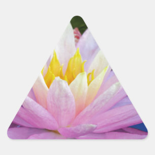 Pegatina Triangular Agua rosa suave