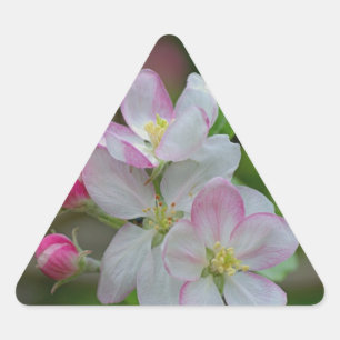 Pegatina Triangular Apple Blossom