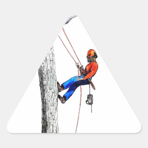 Pegatina Triangular Árbitro de cirujano