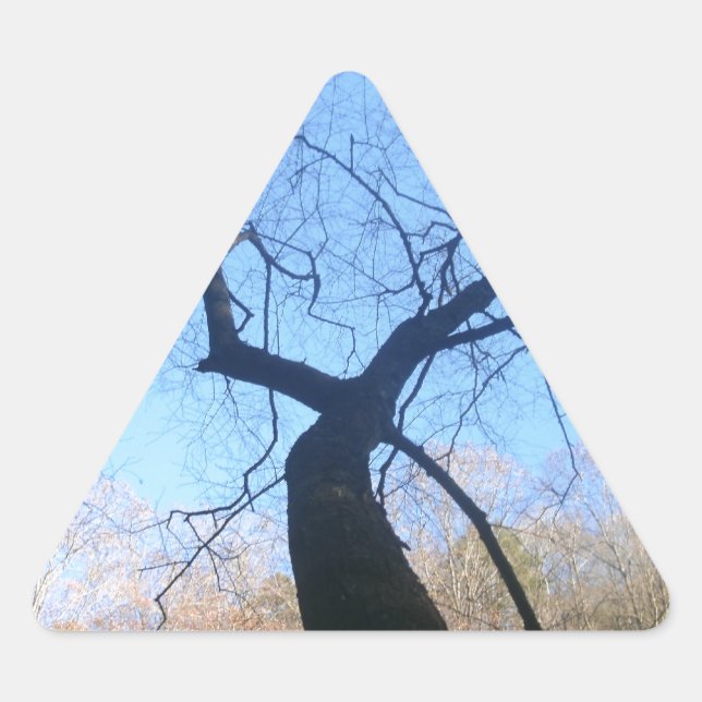 Pegatina Triangular Árbol espumoso (Anverso)
