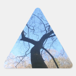 Pegatina Triangular Árbol espumoso