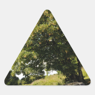 Pegatina Triangular Barcos del Canal