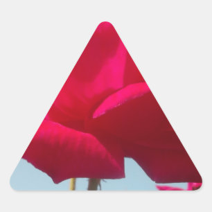 Pegatina Triangular Be Mine Happy Valentine Under the Blue Sky