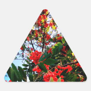 Pegatina Triangular Bellas rojas
