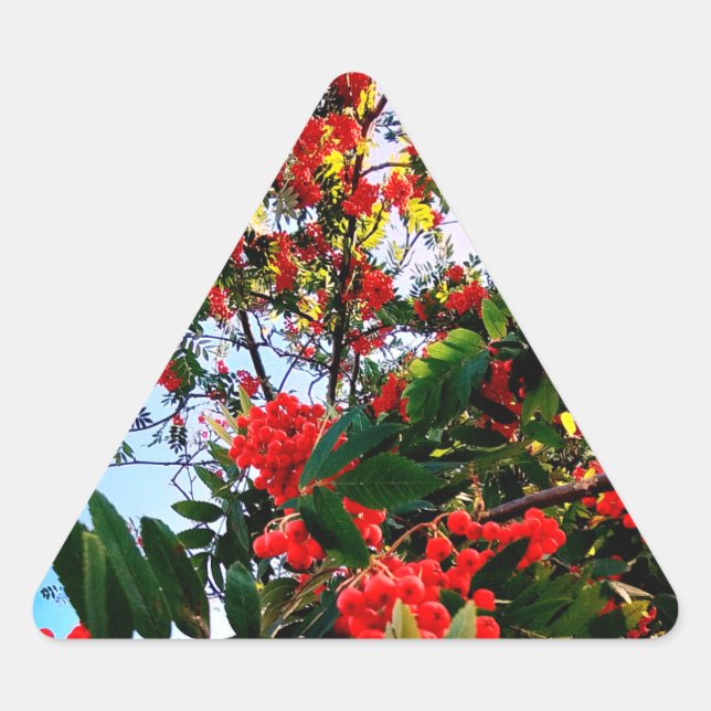 Pegatina Triangular Bellas rojas (Anverso)