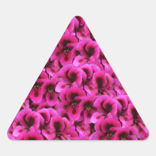 Pegatina Triangular "Belleza audaz: Flores rígidas de geranio magenta