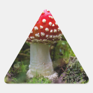 Pegatina Triangular Belleza de otoño