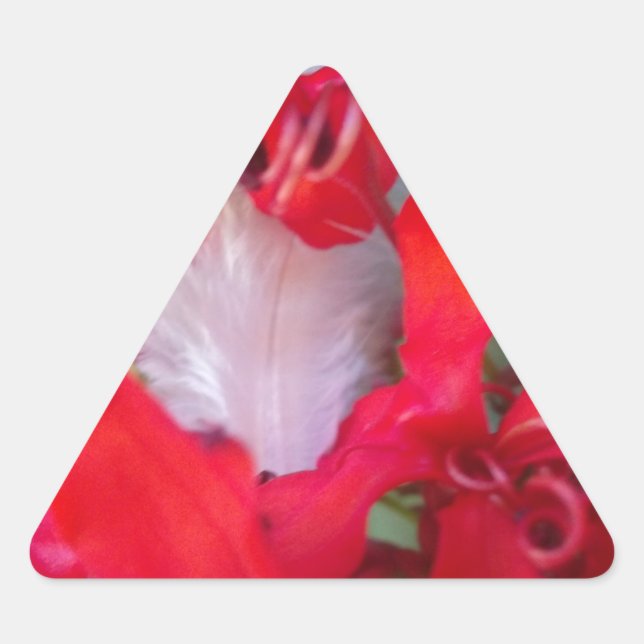Pegatina Triangular Belleza Delicada: Flor roja con pluma blanca (Anverso)