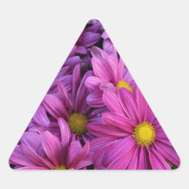 PEGATINA TRIANGULAR BLOQUES