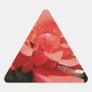 Pegatina Triangular Bonito Rosa Rosa Rosa floral