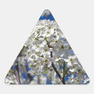 Pegatina Triangular Bradford Pear Blooms