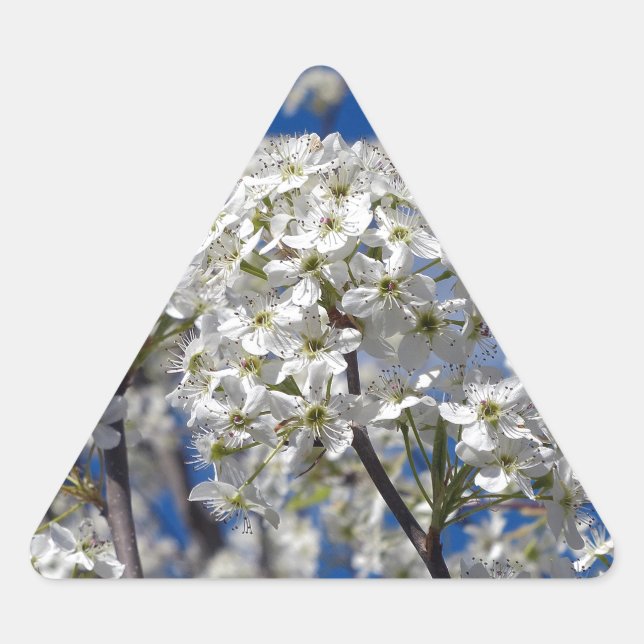 Pegatina Triangular Bradford Pear Blooms (Anverso)
